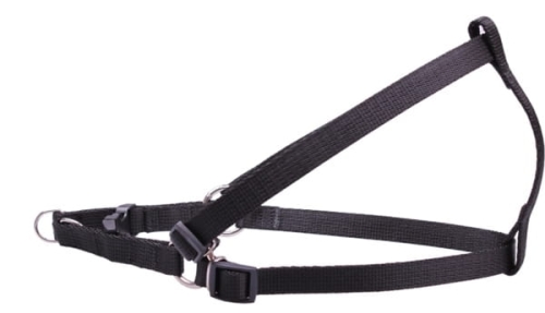 CH 4597_5907731345972.jpg