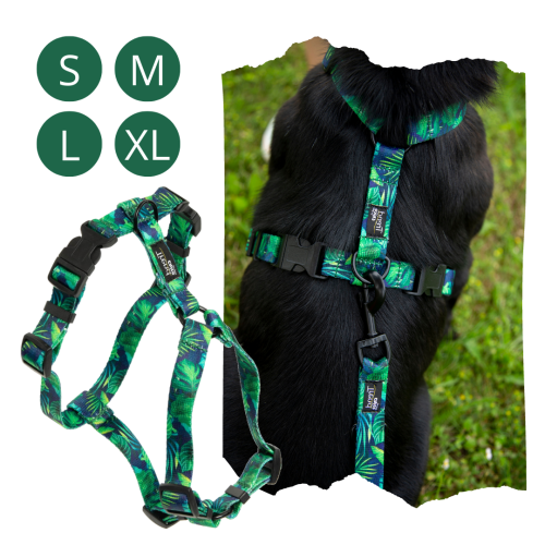 Sklep-zoologiczny-psokoty-Chico-Trend-Tropic-Guard-szelki-regulowane-dla-psow-S-M-L-XL.jpg.png
