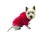 sklep-zoologiczny-psokoty-Colari-F012-bluza-z-materialu-frotte-różowa-ubranko-dla-psa.jpg