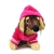 16-sklep-zoologiczny-psokoty-Colari-F012-bluza-z-materialu-frotte-różowa-ubranko-dla-psa.jpg