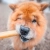 sklad-karmy-przysmaki-dla-psa-ollo-himalayan-cheese-chew-ser-himalajski-pies1.webP