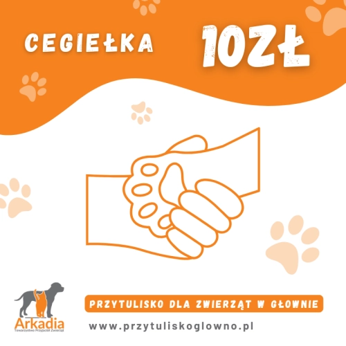 schronisko-dla-psow-i-kotow-w-glownie-cegielka-pomoc-10-zl.WebP