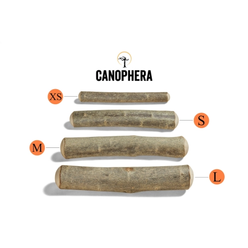 canophera-gryzak-dla-psa-naturalny-rozne-rozmiary.WebP
