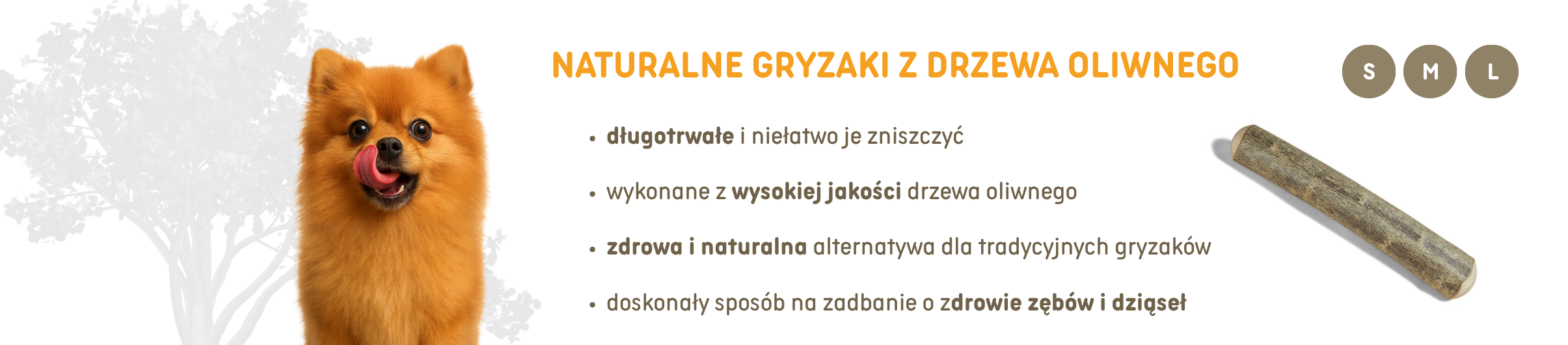 Canophera Gryzak z Drzewa Oliwnego S/M/L