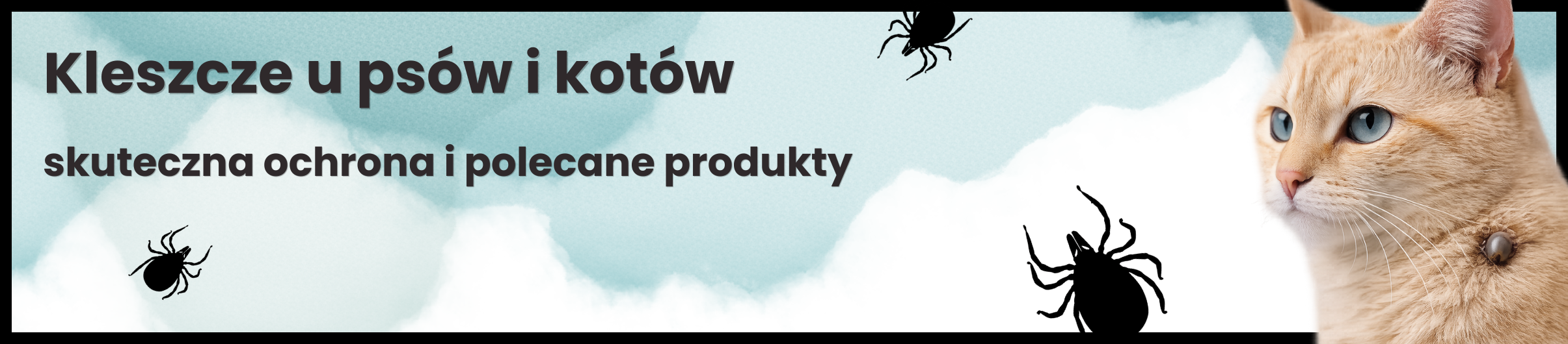 Kleszcze u psów i kotów – co warto wiedzieć i jak skutecznie chronić swojego pupila?